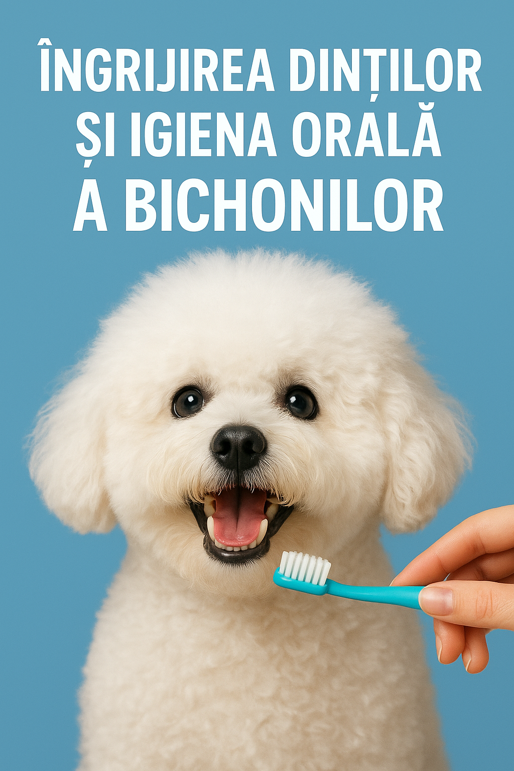 Îngrijirea Dinților și Igiena Orală a Bichonilor