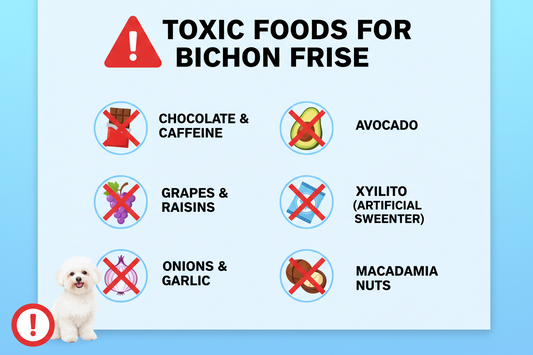 Ce hrană NU ar trebui să mănânce niciodată un Bichon