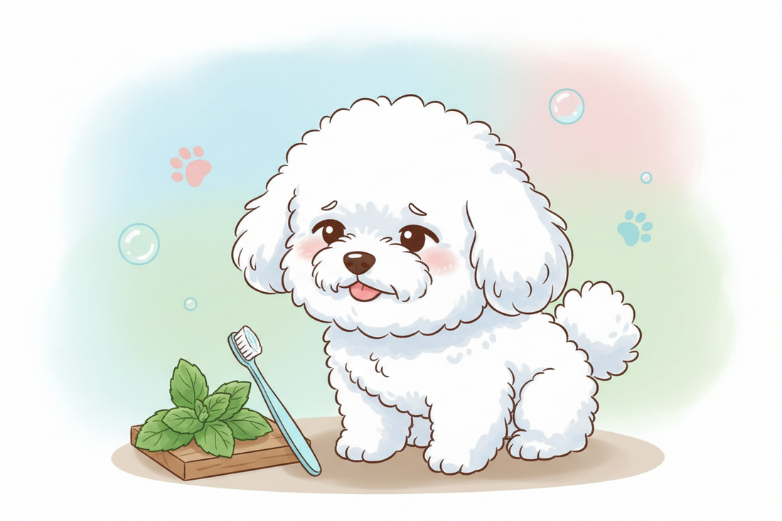 bichon cu respiratie urat mirositoare