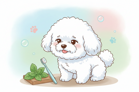 bichon cu respiratie urat mirositoare
