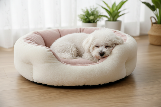 pat comfortabil pentru bichon