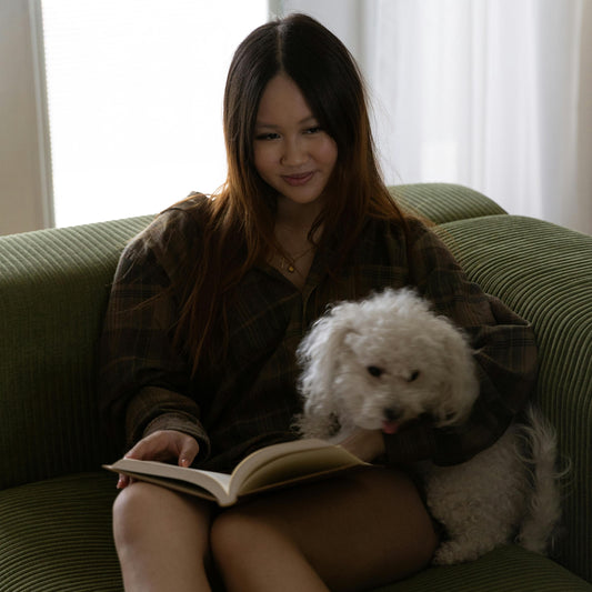 bichon isi consoleaza stapanul