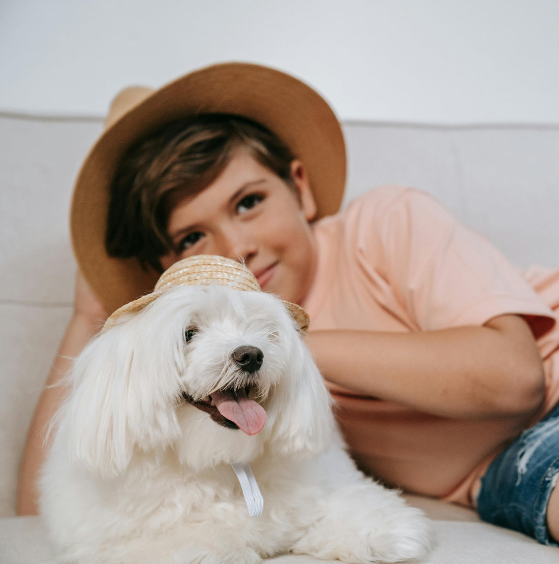 bichon fericit sta cu stapanul lui in pat