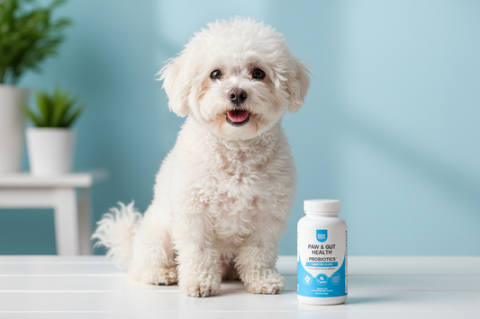 probiotice pentru bichoni