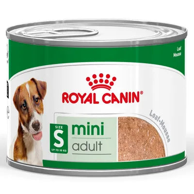 Royal Canin Mousse pentru Bichon și Câine Mic