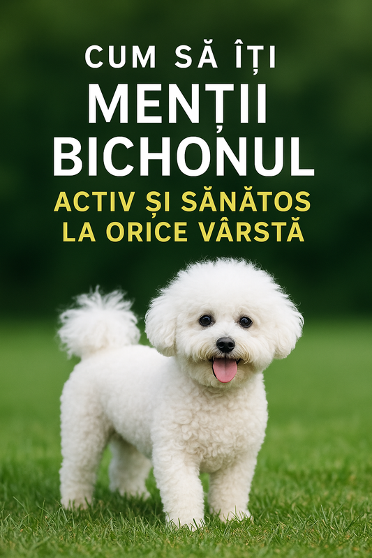 Cum să îți Menții Bichonul Activ și Sănătos la Orice Vârstă