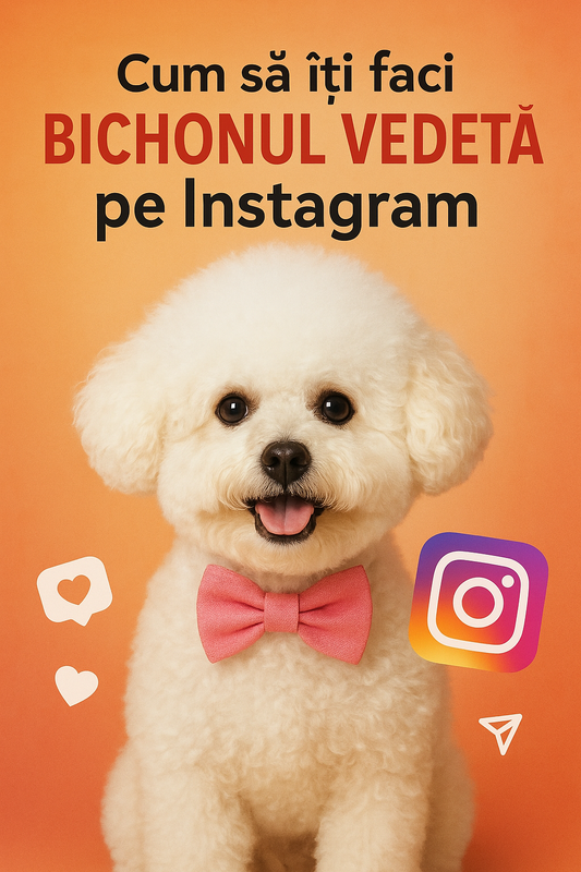Cum să iti Faci Bichonul Vedetă pe Instagram