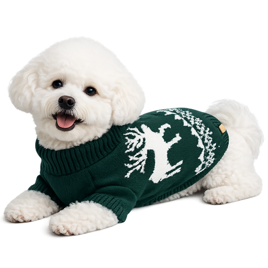 Pulover Iarnă pentru Bichon și Câini de Talie Mică