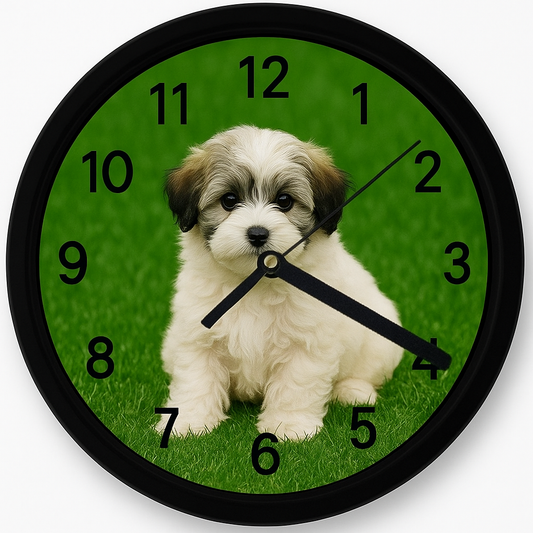 Ceas de Perete cu Bichon – Cadoul Perfect pentru Iubitori de Câini