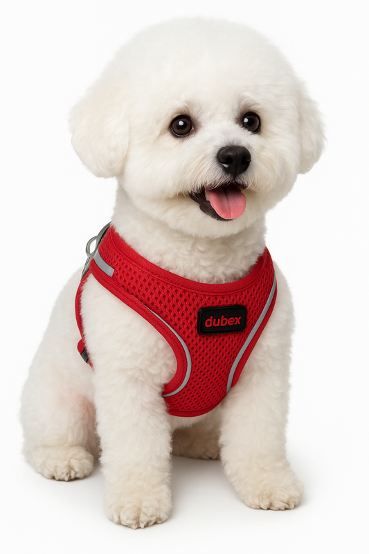Ham DELUXE Premium pentru Bichon Mărimea S – Siguranță și Confort Maxim