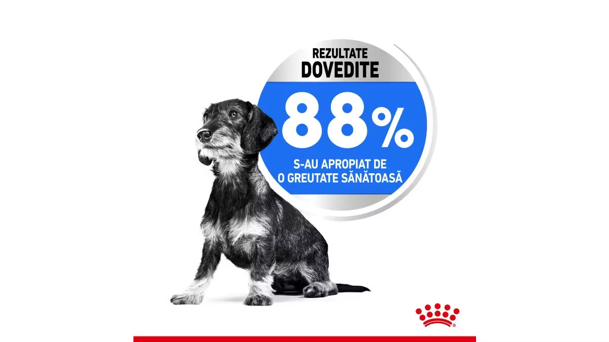 Royal Canin Bichon Hrana Control Greutate Câine Talie Mică