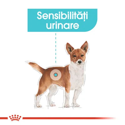 Royal Canin Urinary Care Bichon Câine Talie Mică