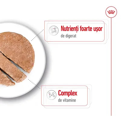 Royal Canin Mousse pentru Bichon și Câine Mic
