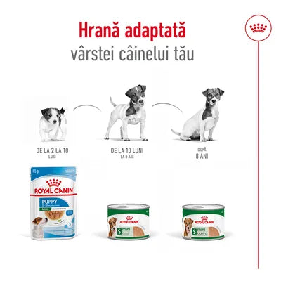 Royal Canin Mousse pentru Bichon și Câine Mic