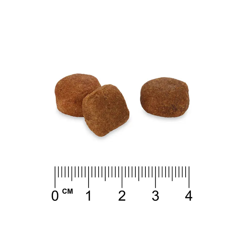 Hrană Hipoalergenică pentru Bichon și Câini Talie Mică